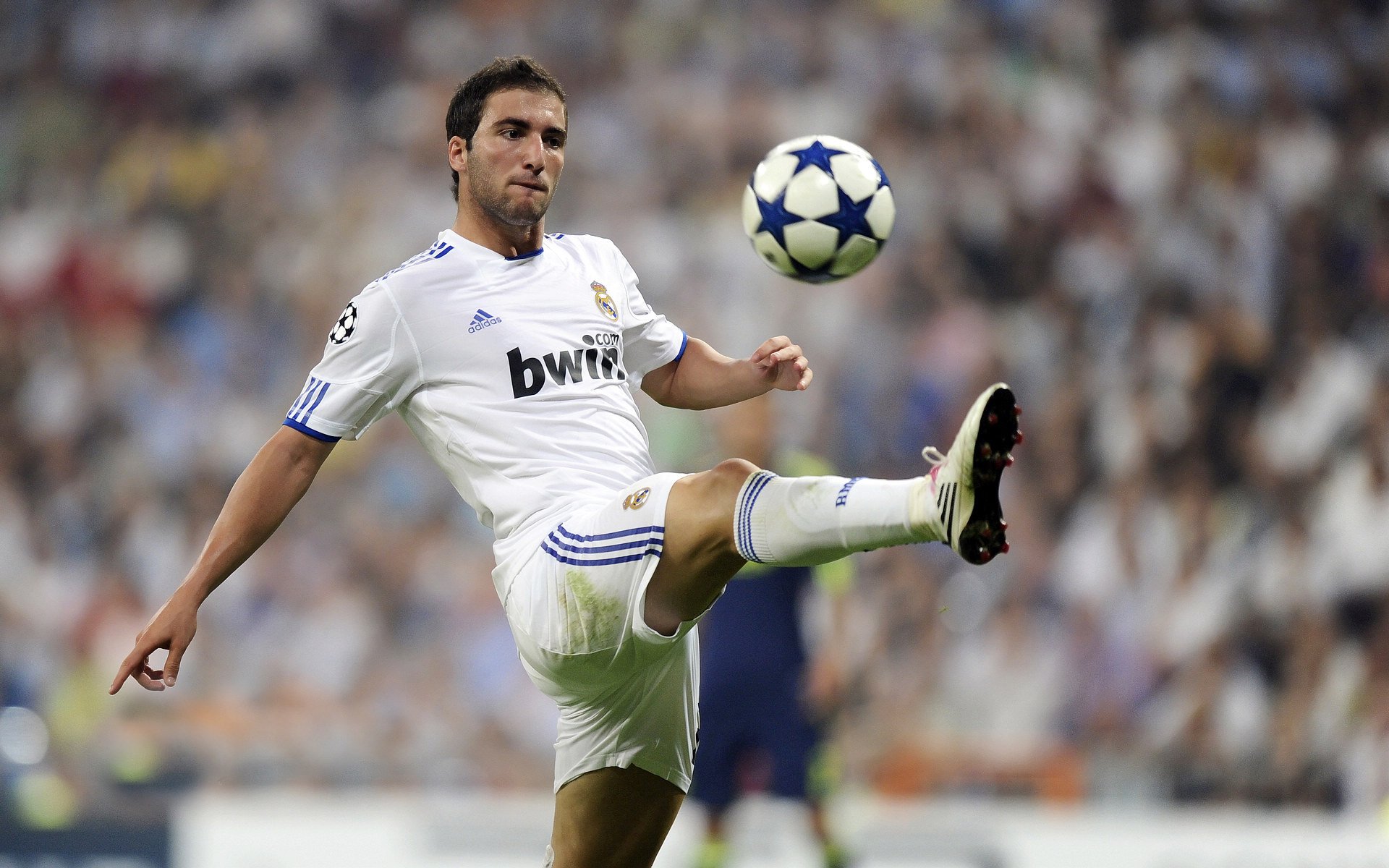 爱游戏体育app下载-霍芬海姆球队在比赛中展现出色的进攻体系，取得胜利，霍芬海姆球迷站